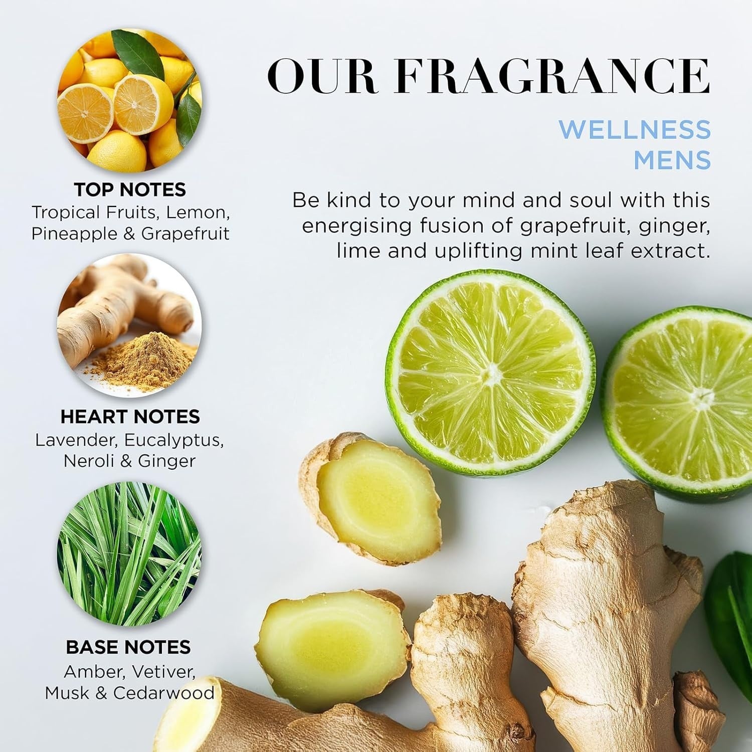 Baylis & Harding Men’s Revived & Ready Gift Set Vegan Friendly Skincare Shower by Baylis & Harding