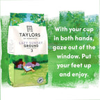 Taylors of Harrogate Lazy Sunday Ground Coffee 454g x3 Bags Medium Roast by Taylors of Harrogate