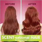 Herbal Essences Ignite My Colour Conditioner 275ml x6 Pack for Dyed Hair Care by Herbal Essences