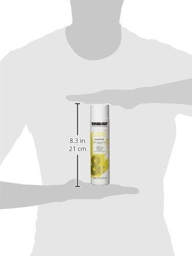 Toni & Guy Illuminate Blonde Shampoo 250ml | Shine Boost for Blonde Hair by TONI&GUY