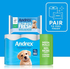 Andrex Complete Clean Mega Toilet Roll 36 XL Rolls Soft Strong Tissue Pack by Andrex