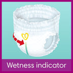 Pampers Nappy Pants Size 6 | Active Fit 120 Count | Monthly Pack Baby Diapers by Pampers