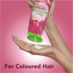 Herbal Essences Ignite My Colour Conditioner 275ml x6 Pack for Dyed Hair Care by Herbal Essences
