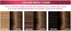 L’Oréal Excellence Crème 6 Natural Light Brown Hair Dye | 100% Grey Coverage by L'Oreal Paris