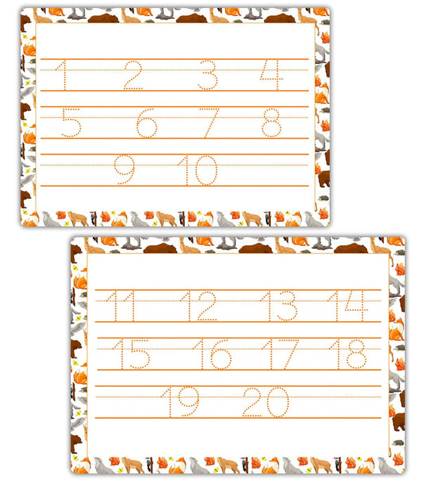 Tracing Numbers Worksheet | Reusable Number Tracing Mat 1 to 20 - Dry Erase