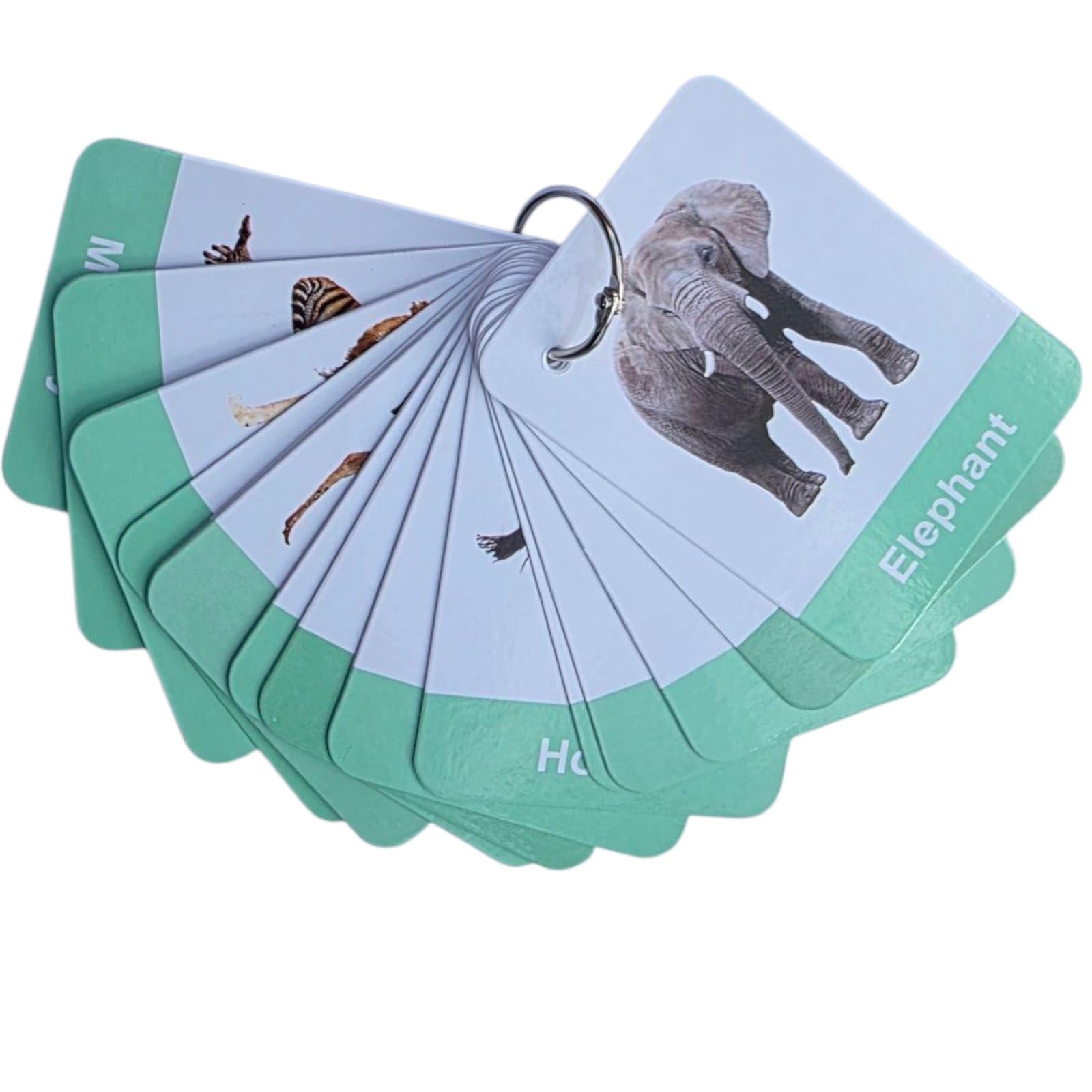 Alphabet Flashcards Pictures and Words 26 Ring Bound by Zstore