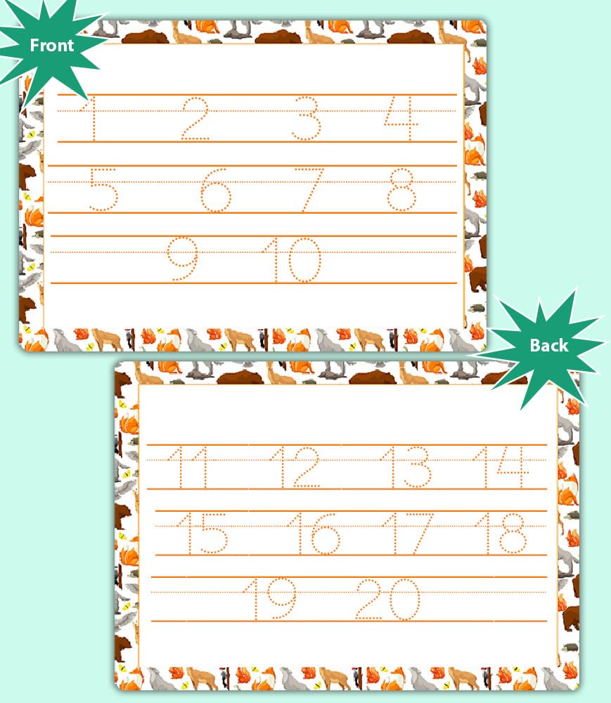Tracing Numbers 1–20 Worksheet for Kids | Reusable Double-Sided Writing Mat | Waterproof Number Practice Sheet by ZStore