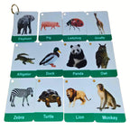 Animals Flashcards With Real Images For Toddlers 24 Cards by Zstore