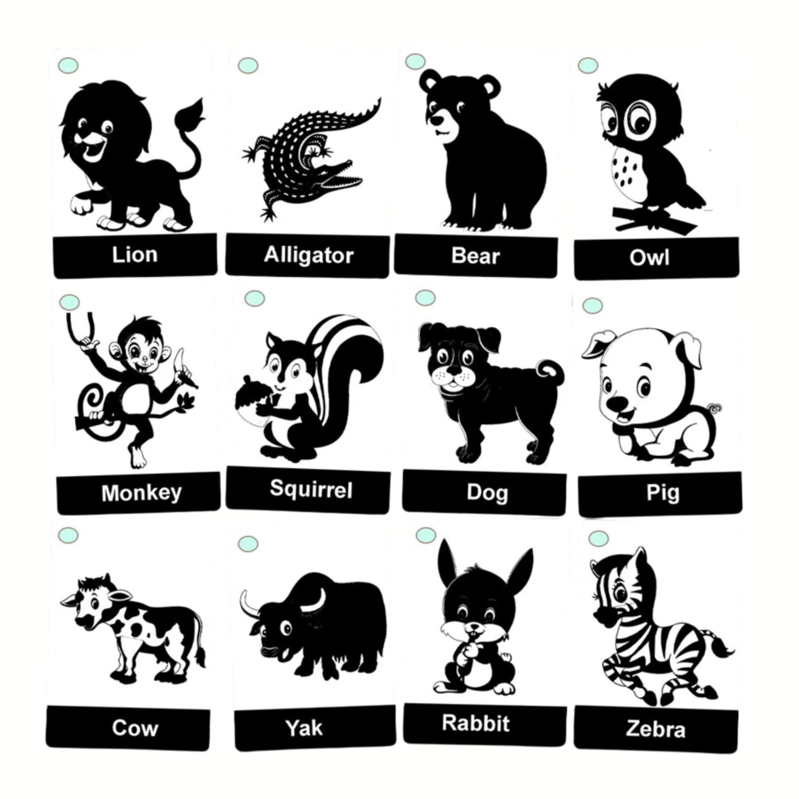 Sensory Flashcards for Babies | High Contrast Black & White Visual Stimulation Cards for Newborns | Baby Sensory Box | Montessori Toys for Infants 0-6 Months | Gift Set by Zstore