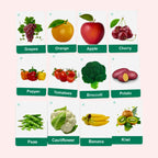 First Words, Fruits, Healthy Food, Body Parts, Animals, Colors & Shapes | Early Years Resources by Zstore