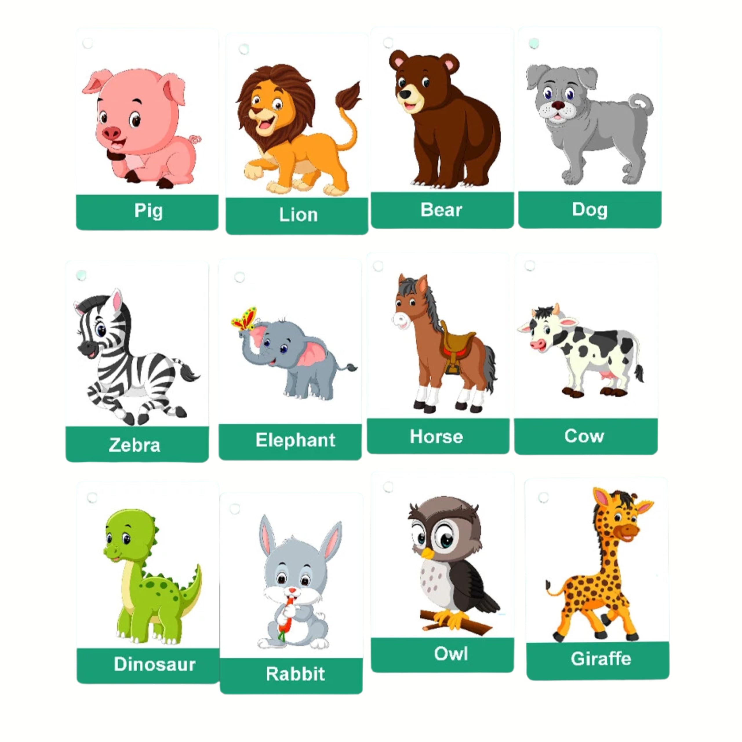 First Words, Fruits, Healthy Food, Body Parts, Animals, Colors & Shapes | Early Years Resources by Zstore