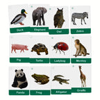 Animals Flashcards With Real Images For Toddlers 24 Cards by Zstore