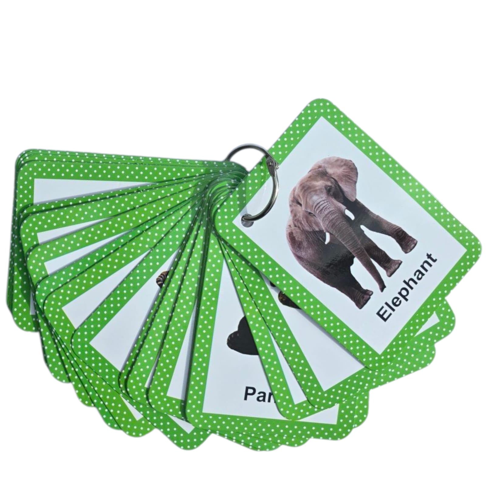 Set of 24 real-image animal flash cards with green polka-dot borders on a ring binder.
