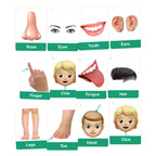 First Words, Fruits, Healthy Food, Body Parts, Animals, Colors & Shapes | Early Years Resources by Zstore