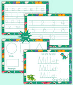 Personalized Name, Alphabet, Numbers & Shapes Sheets For Kids Write Wipe Tracing Mats With Erase Pen by ZStore