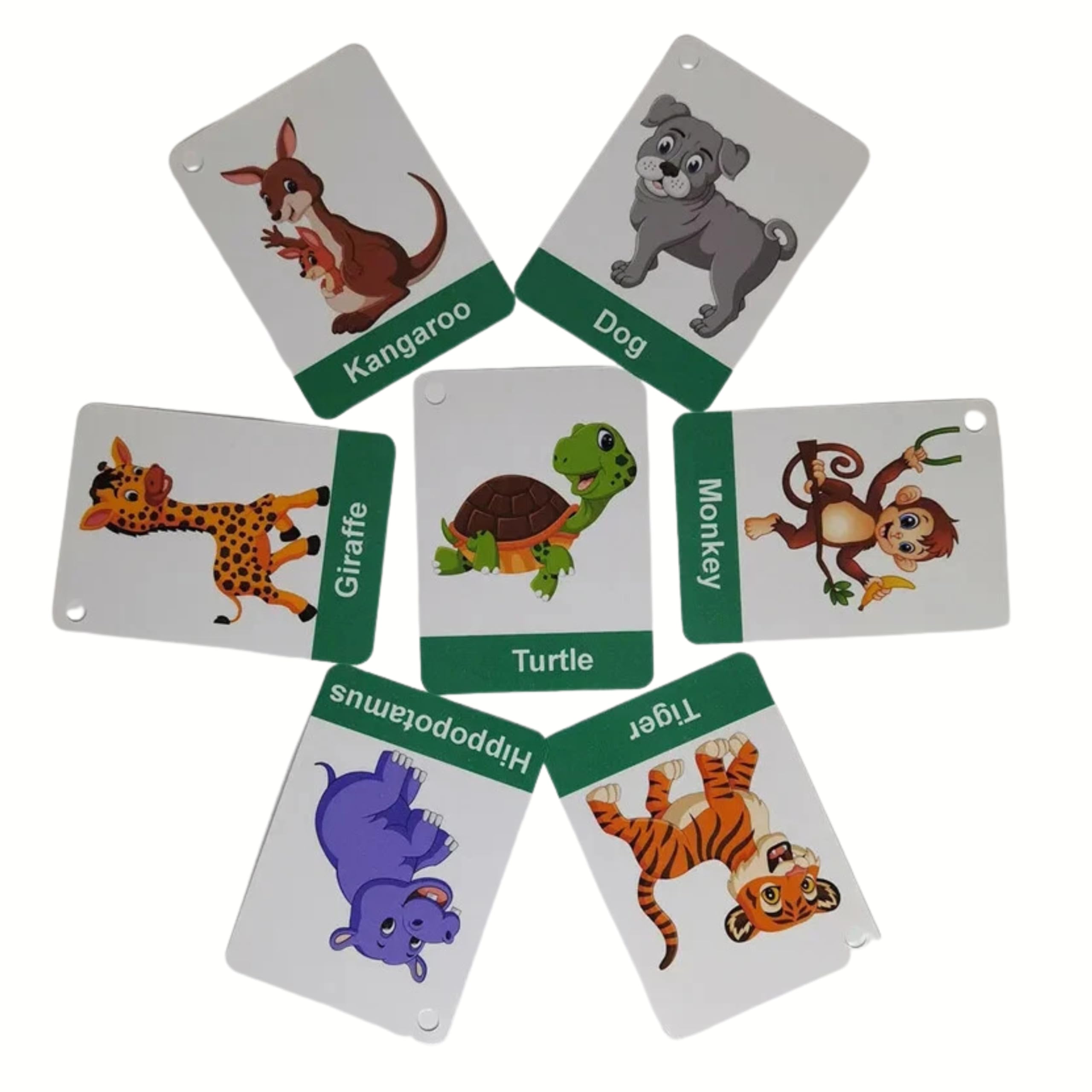 Cartoon Animal Flashcards for Toddlers 24 Laminated Cards by Zstore