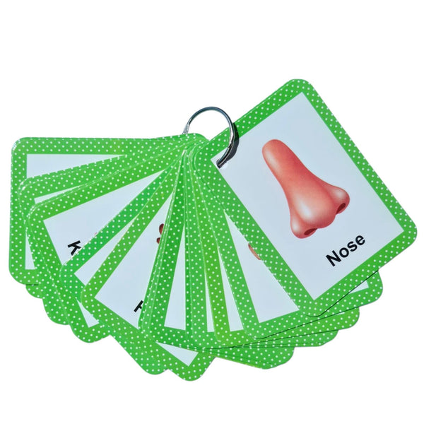 Body Parts Flashcards - Real Image Educational Cards for Toddlers Learning