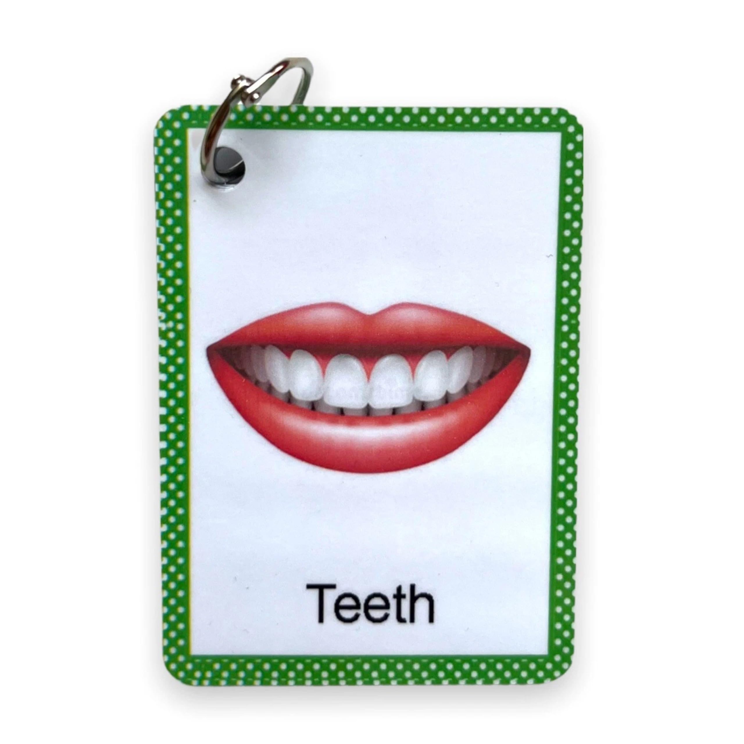 Zstore Body Parts Flashcards For Toddlers - Image Cards by Zstore