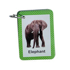 Elephant flash card with a photo of an elephant on a green polka-dot border, from an animal learning set.