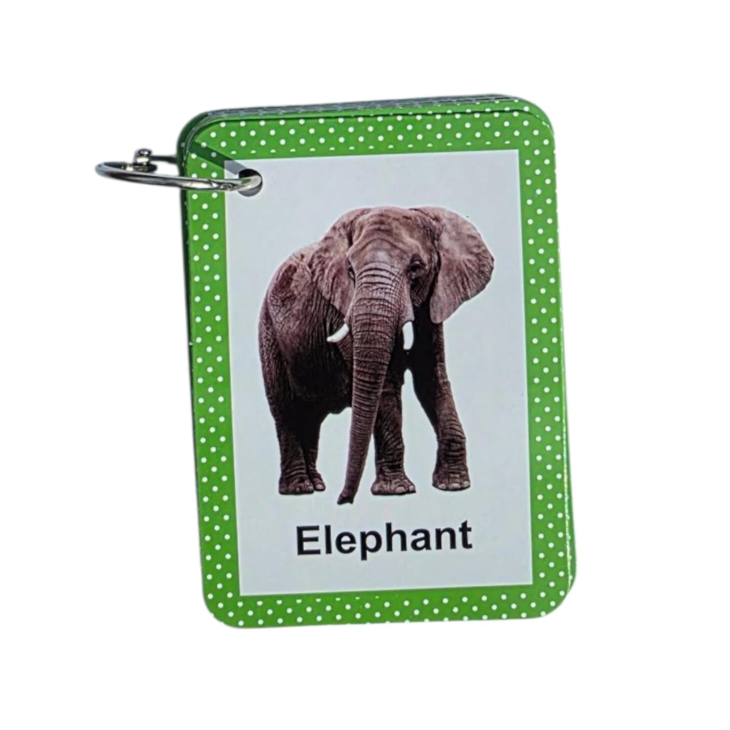 Elephant flash card with a photo of an elephant on a green polka-dot border, from an animal learning set.
