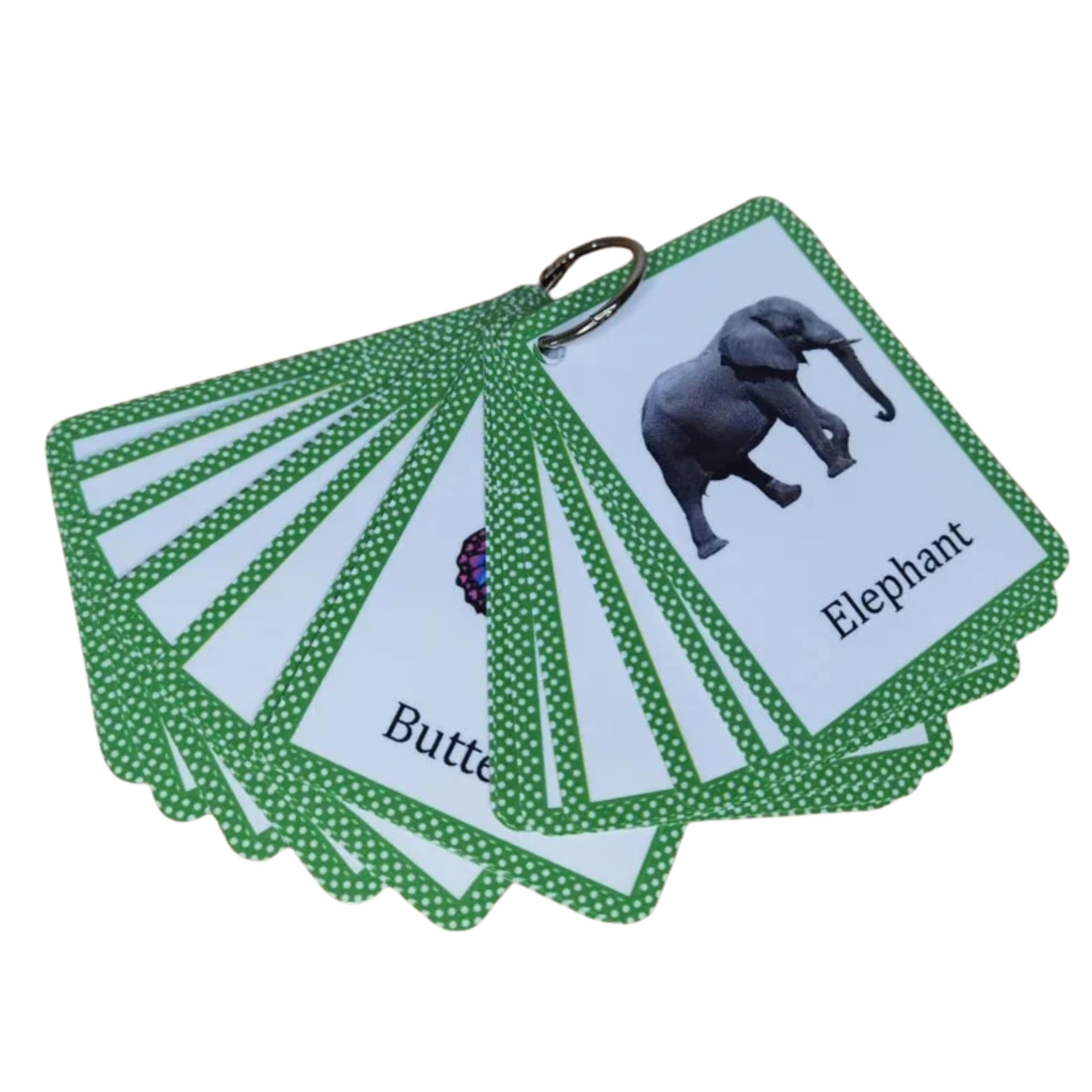 Set of 24 animal flash cards on a ring binder with green dotted borders; elephant card visible.