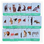 Animals Flashcards With Real Images For Toddlers 24 Cards by Zstore