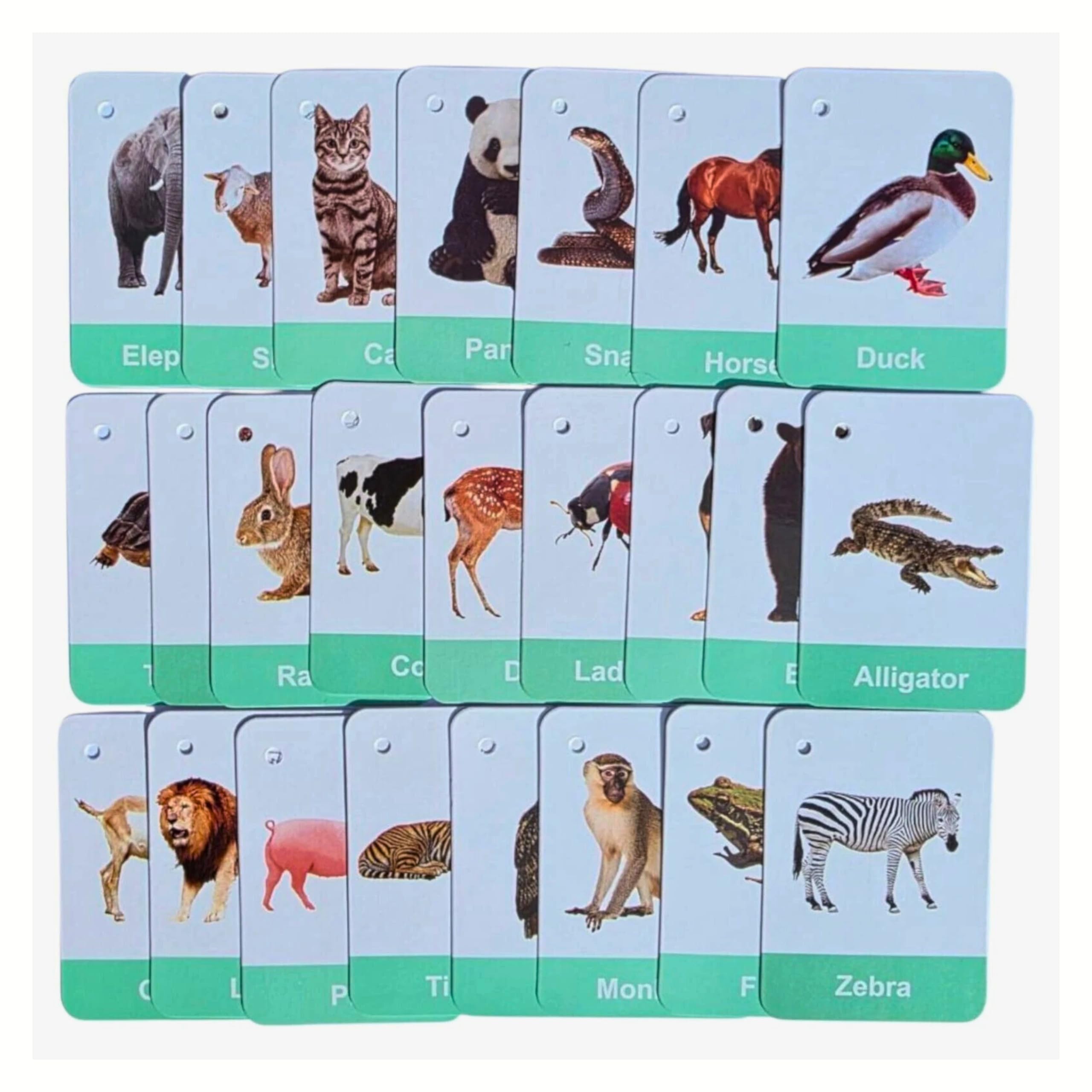 Animals Flashcards With Real Images For Toddlers 24 Cards by Zstore