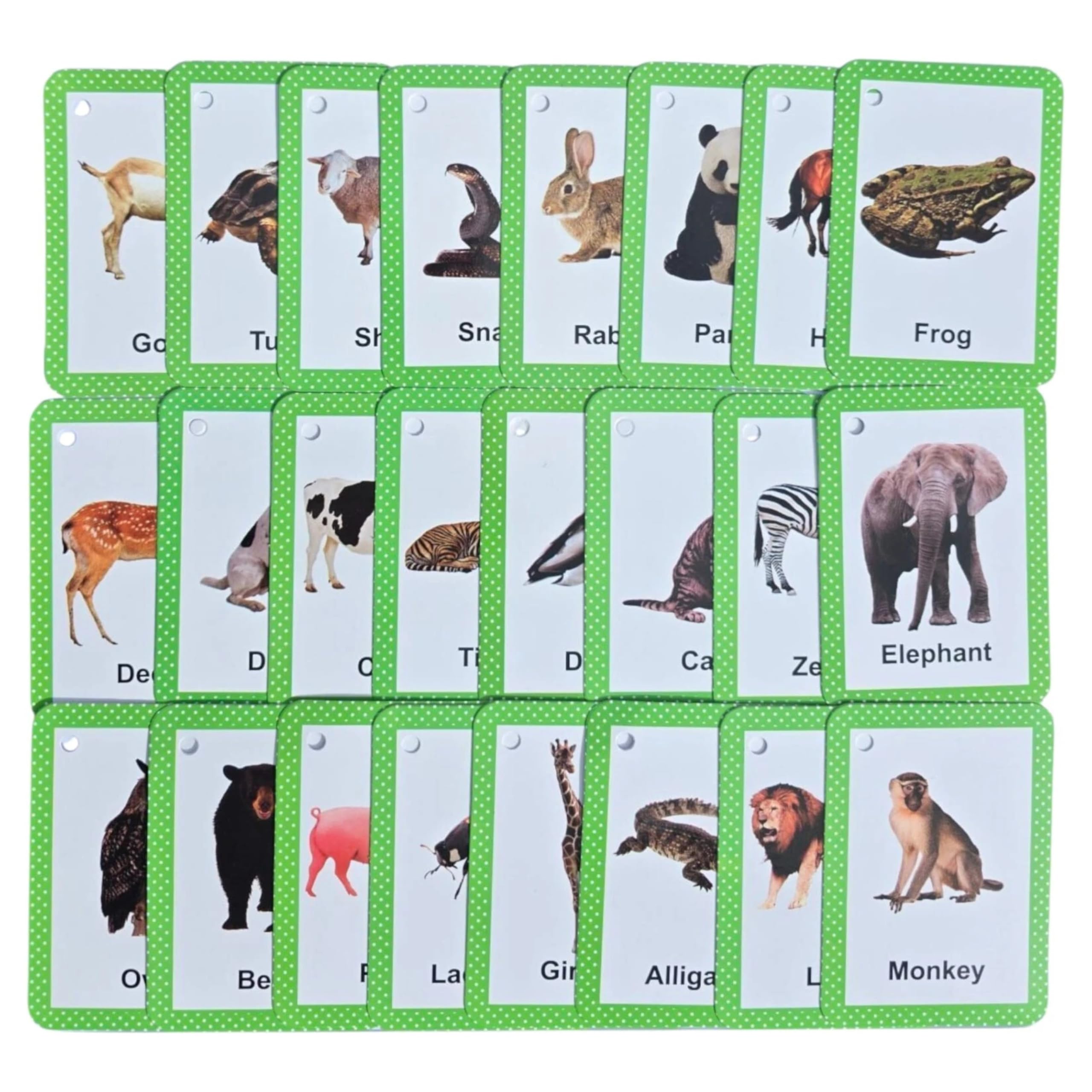 24 real-photo animal flash cards with green borders for toddlers, building vocabulary and early recognition.