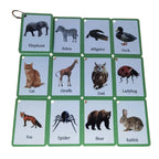 Twelve real-life animal flash cards with green borders.