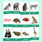 Montessori Phonics Flash Cards Toddlers Alphabet Words by Zstore