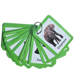 a collection of green cards with pictures of elephants and the word "Elephant" written on them.