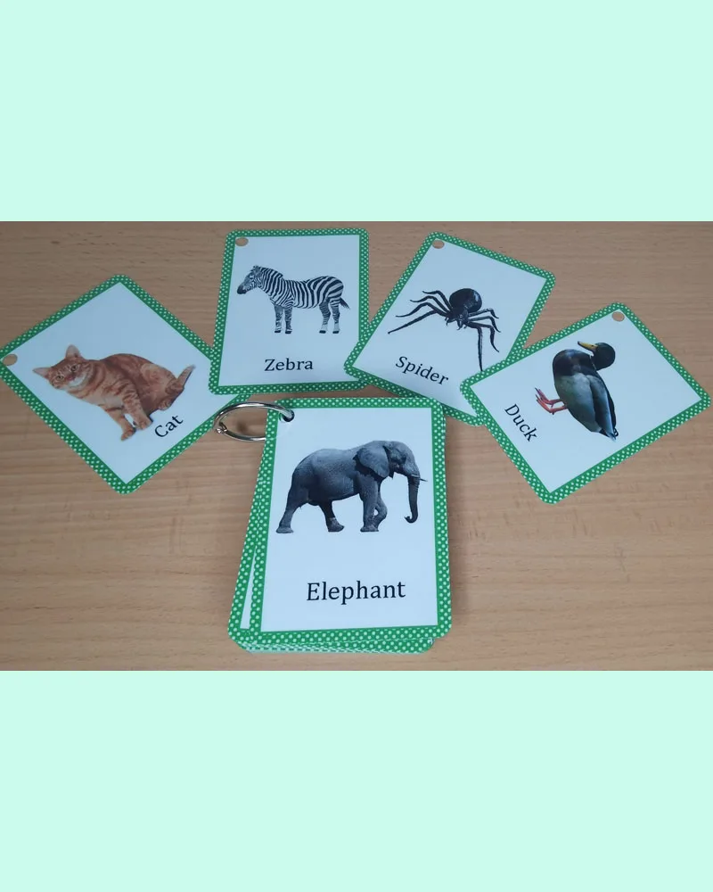Animals-Flashcards-33