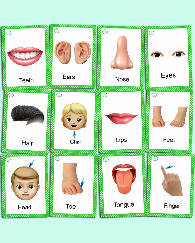 Animals Fruit & Vegetable Flash Cards. Body Parts kids Gift First 100 Words 