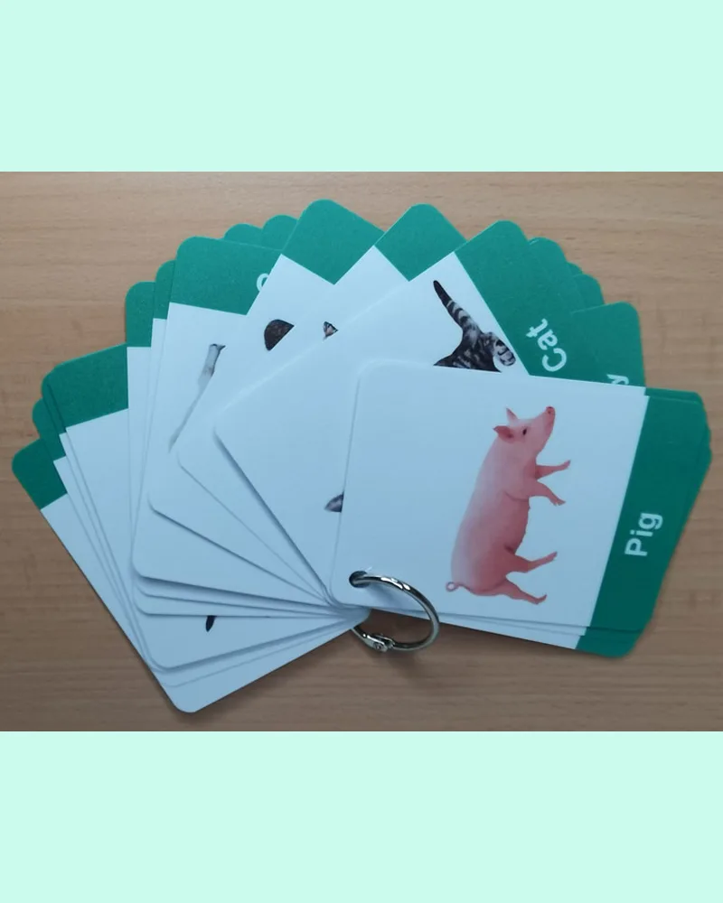 Animals Flashcards with Real Pictures