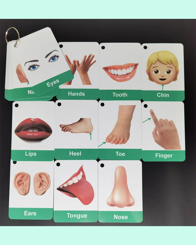 Body Parts Flashcards for Toddlers
