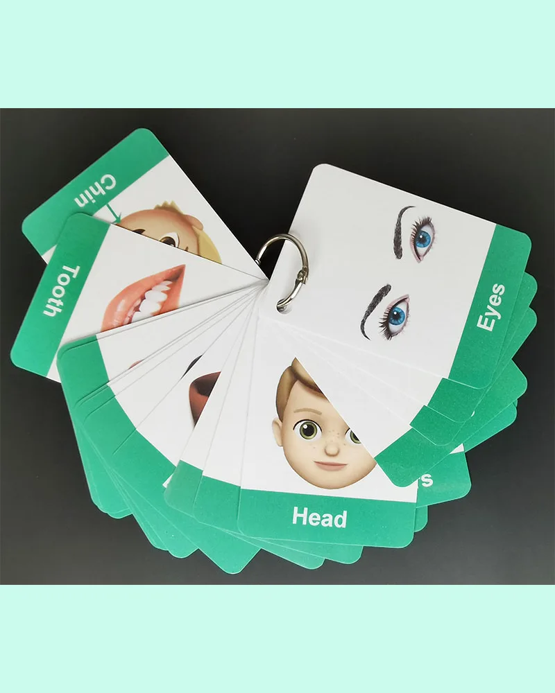Body Parts Flashcards for Toddlers