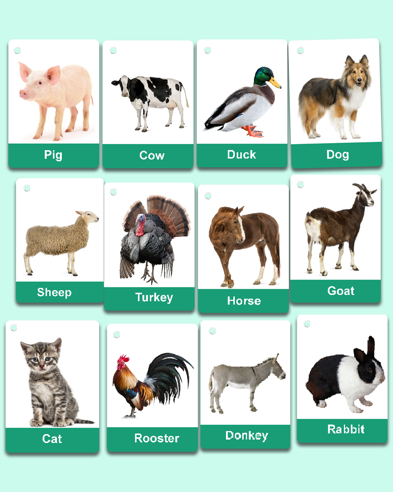 Farm Animals Flashcards for Preschool