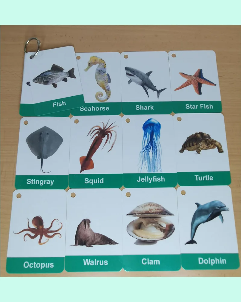 Best Under the Sea Animals Flashcards for Sale (25 Pcs) - Zstore